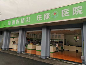 向“供”而行，解“銷”困惑——全國供銷社代表在紹興物資供銷的現(xiàn)場見聞